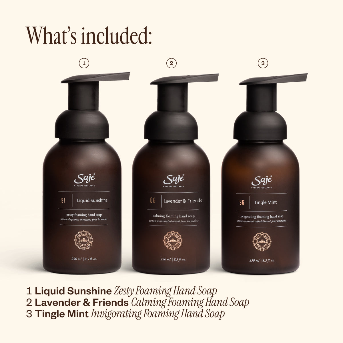 Foaming Hand Soap Trio