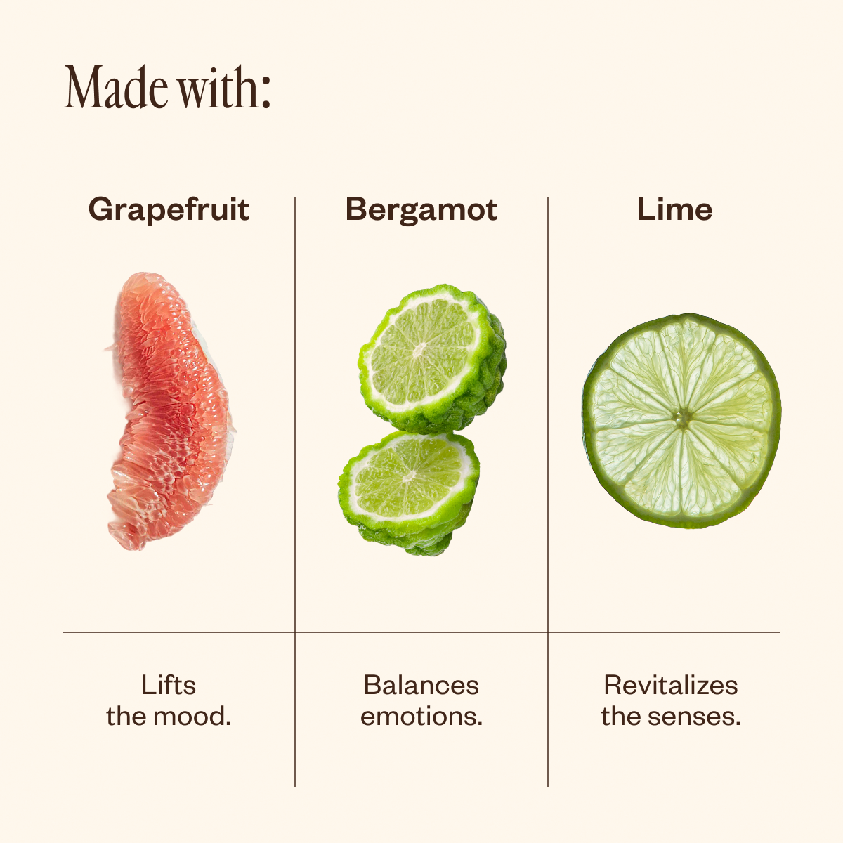 Aroma Cocoon & Liquid Sunshine