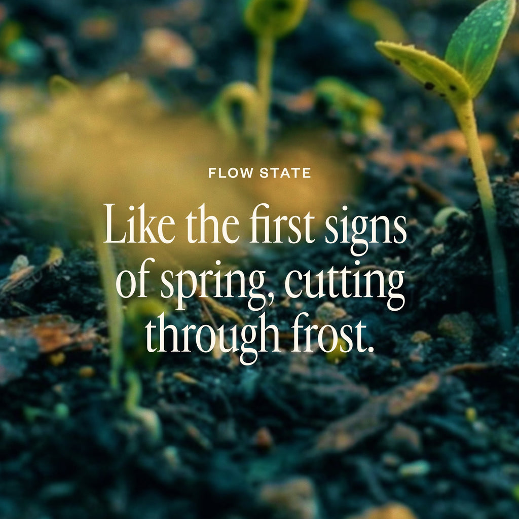Spring Refresh Diffuser Bundle