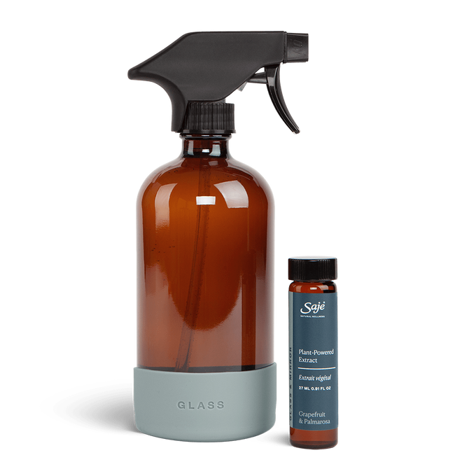 Glass and Mirror Cleaning Kit